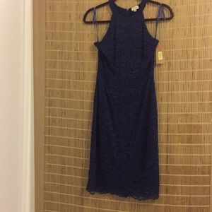 Cremieux navy blue lace mini dress